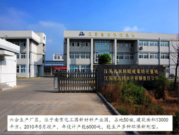 华体(中国)